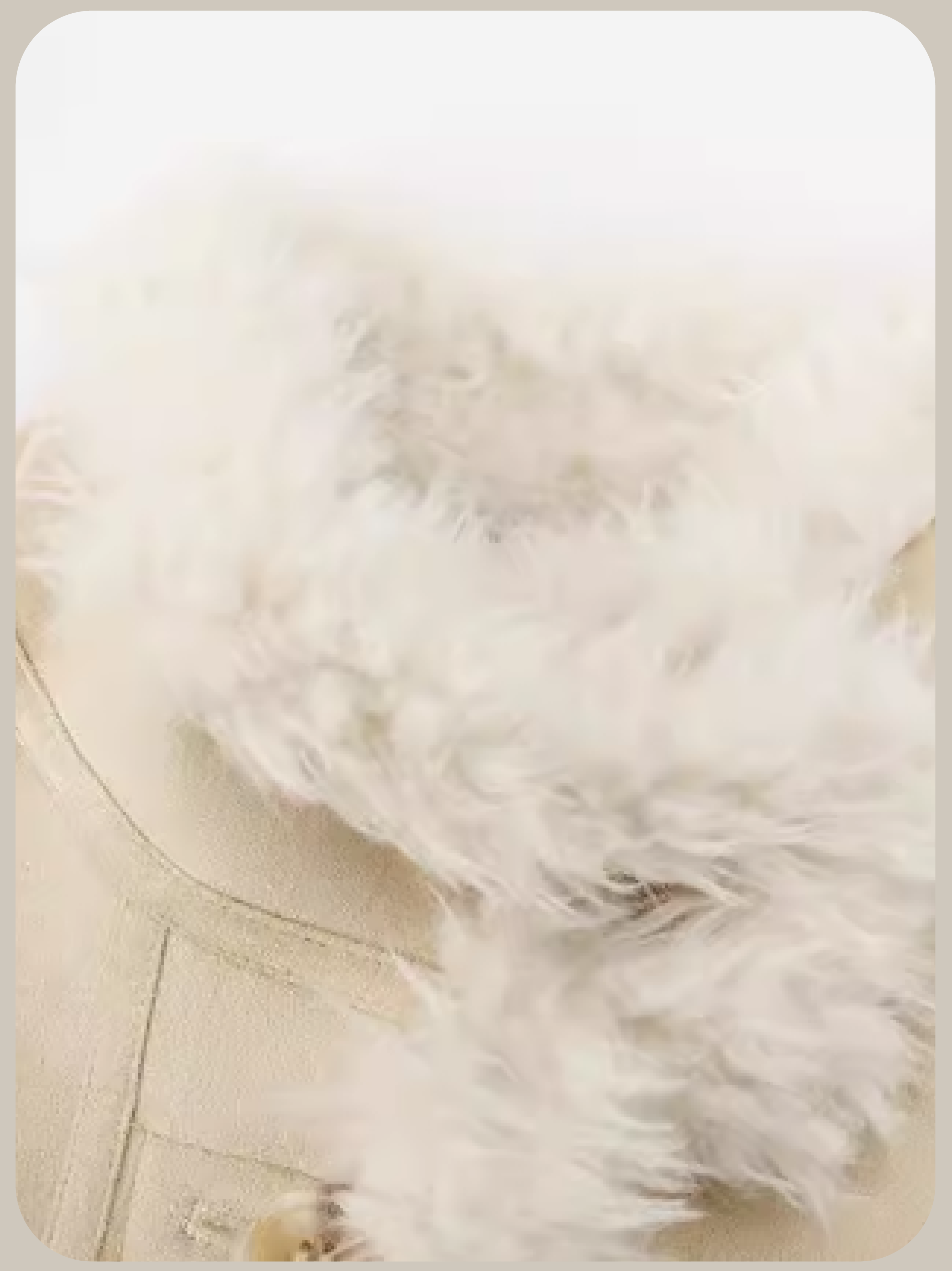 Two Way Faux Fur Coat/ツーウェイフェイクファーコート