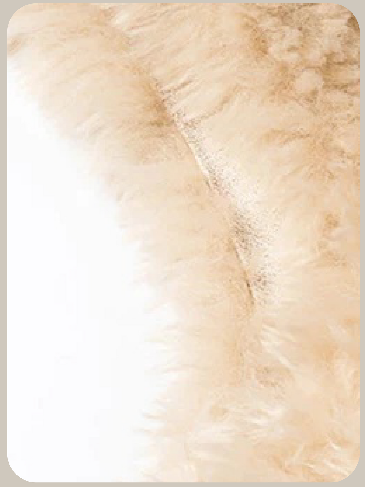 Round Collar Faux Shearling Boa Vest/ラウンドカラーフェイクシアリングボアベスト