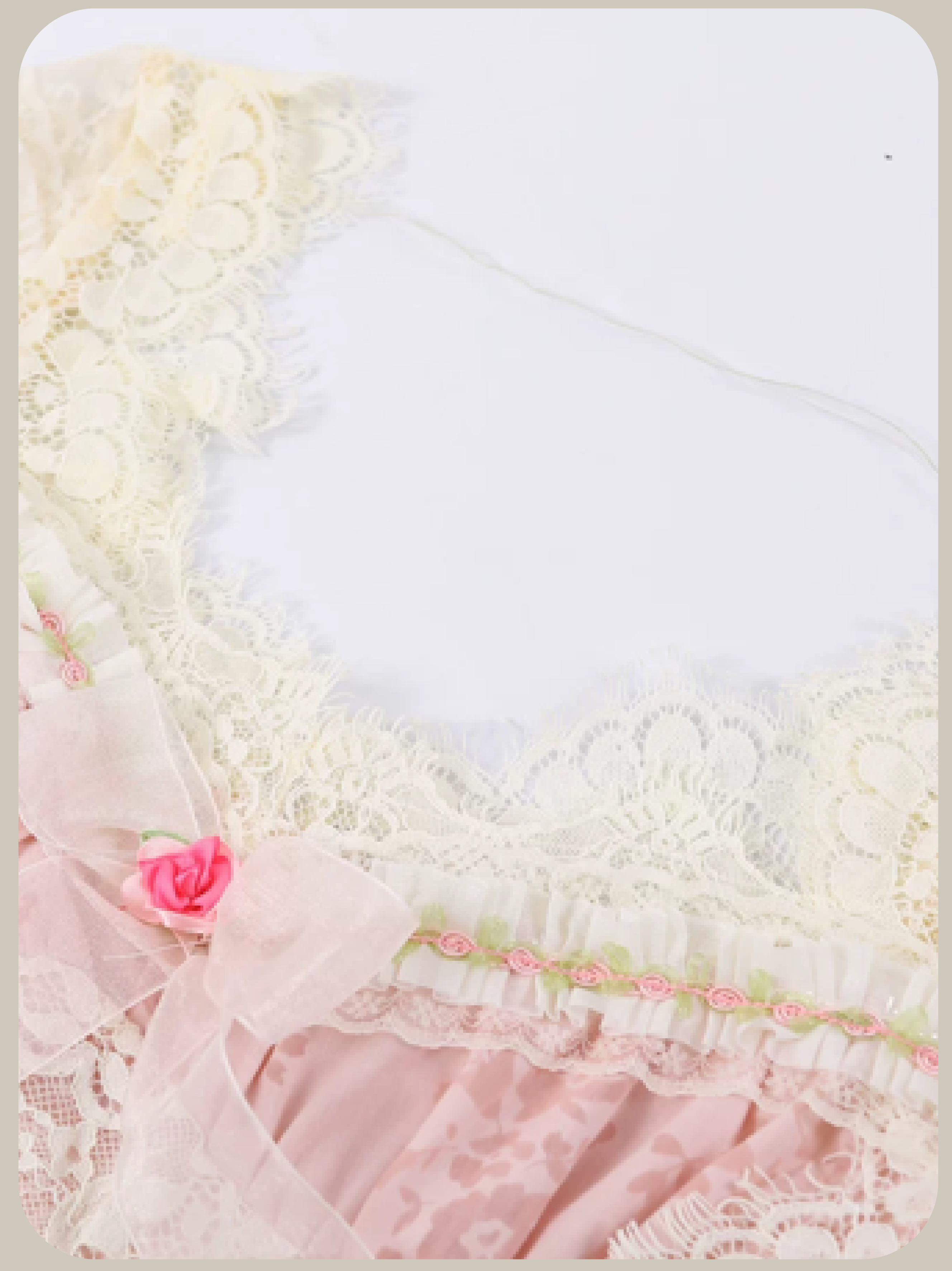Blush Romance Lace Dress/ブラッシュロマンスレースドレス