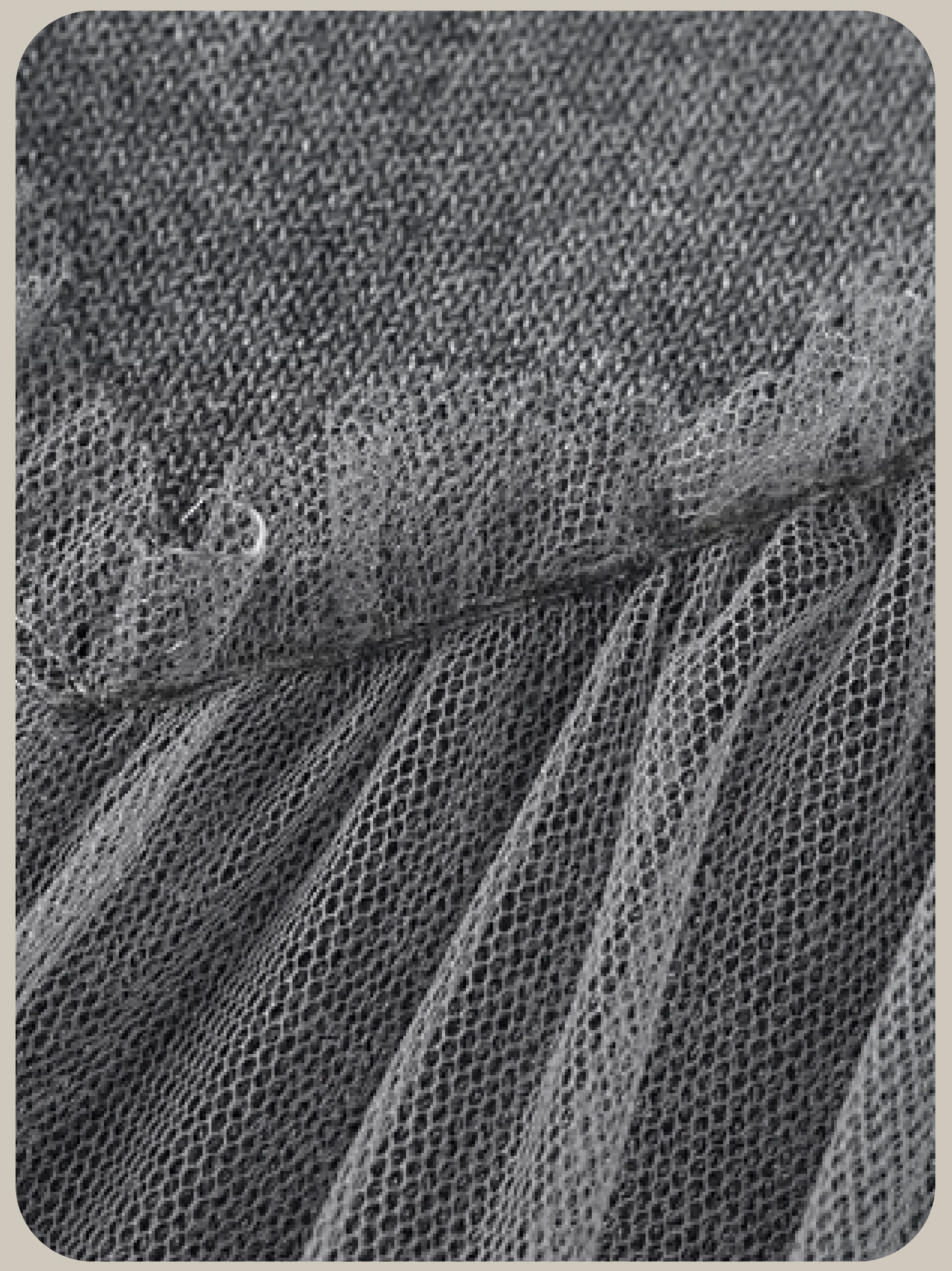 Romantic Mesh Ribbon Gray One Piece/ロマンティックメッシュリボングレーワンピース