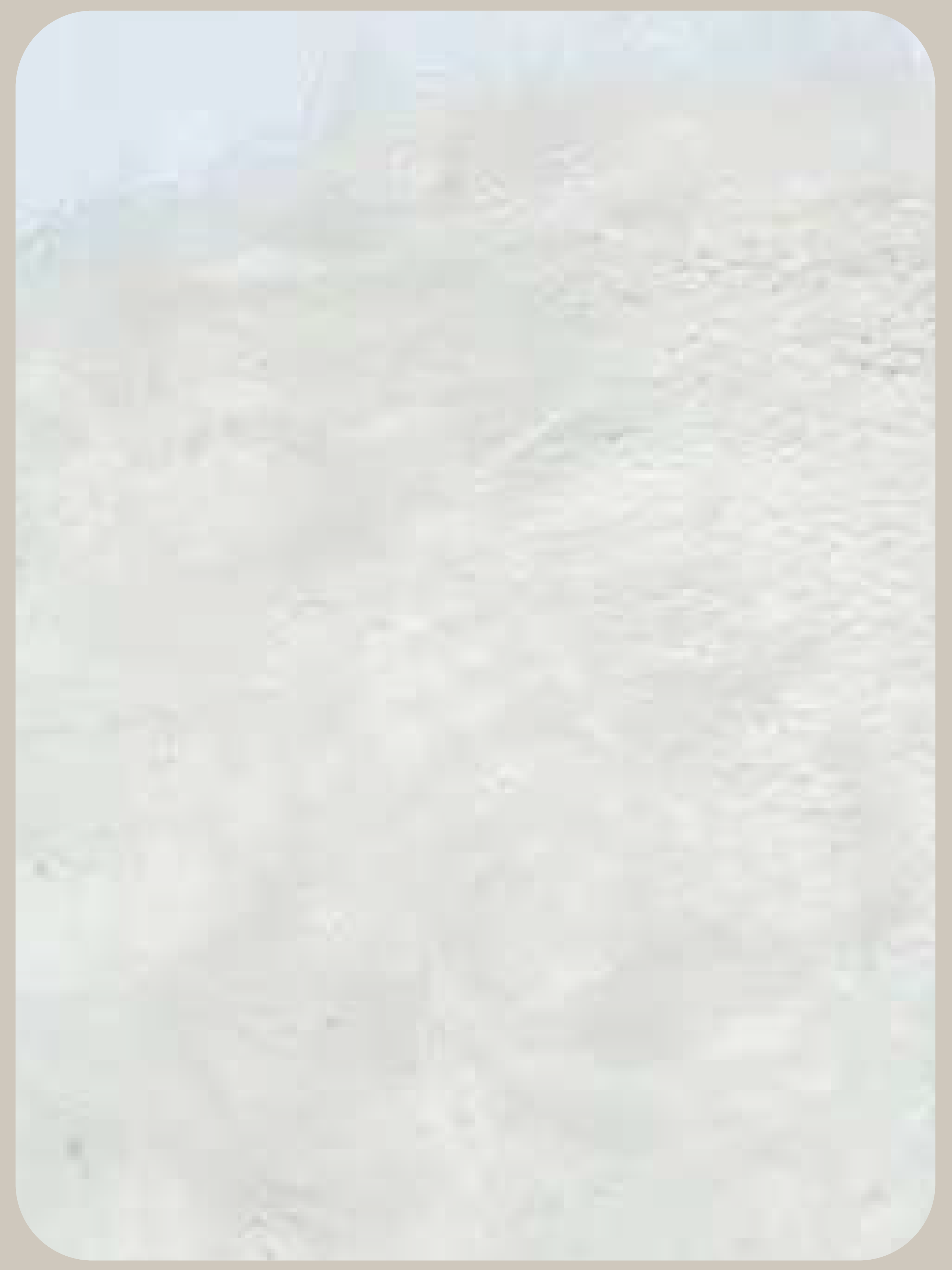 Mohair Two Tone Cardigan/モヘアツートンカーディガン