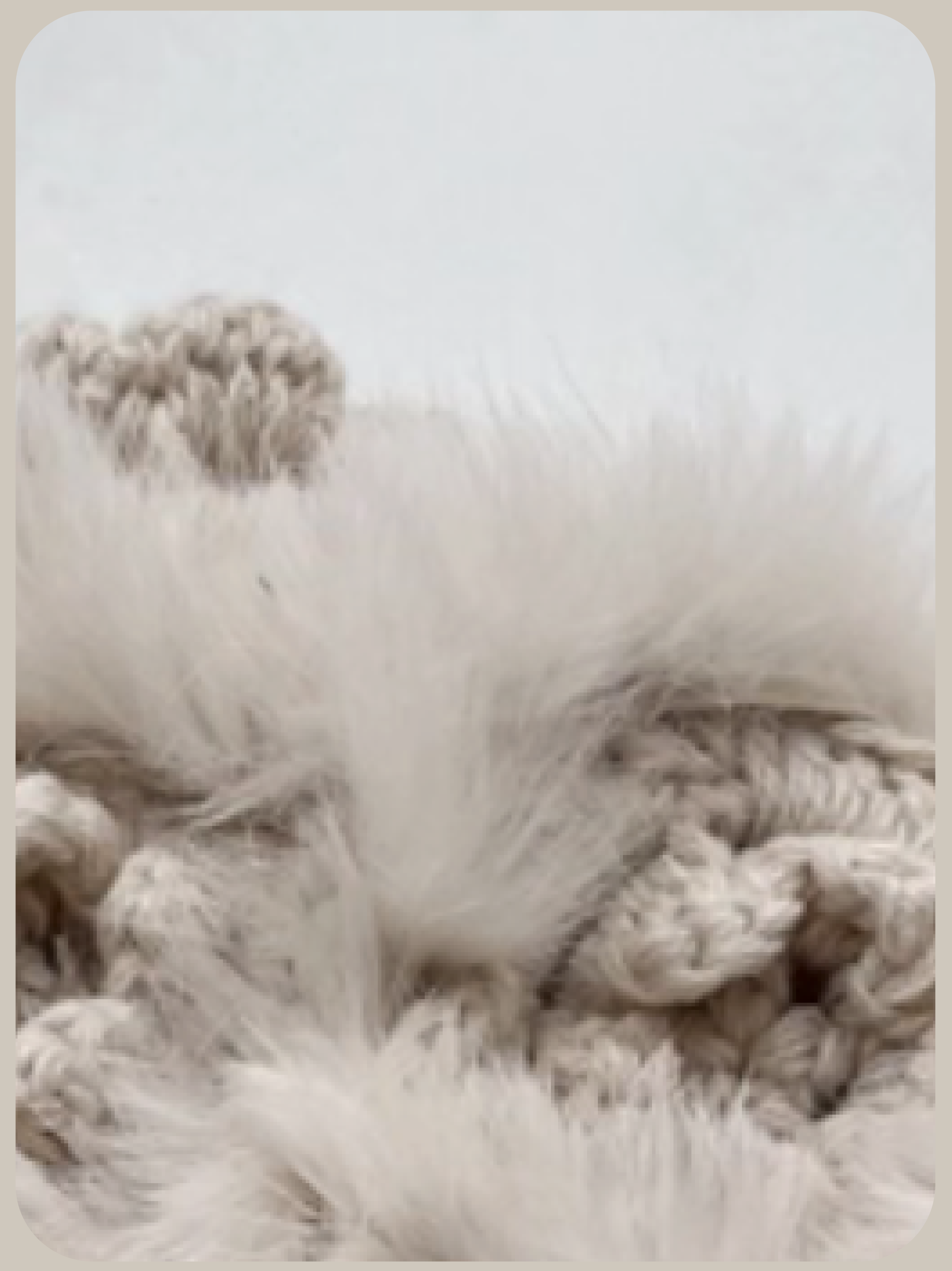 Fluffy Knitting Flower Hat/ふわふわニットフラワーハット