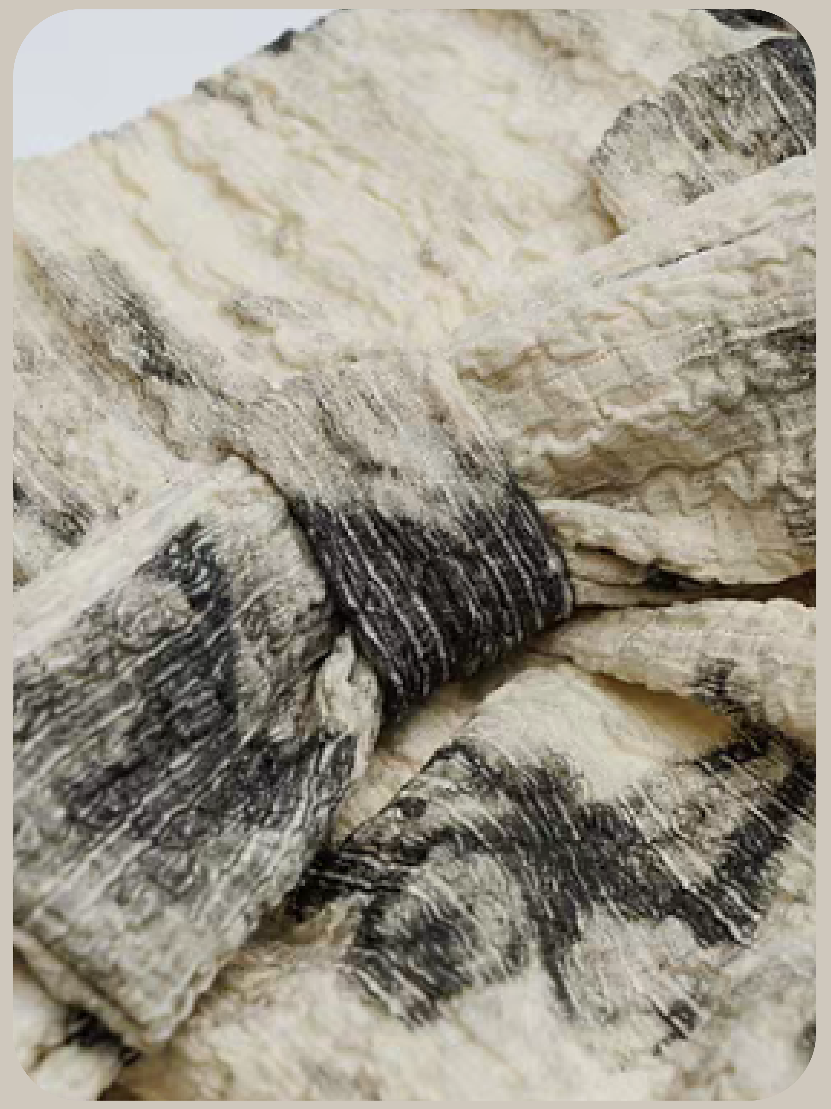 Butterfly Puff Layer Mini Skirt/バタフライパフレイヤーミニスカート