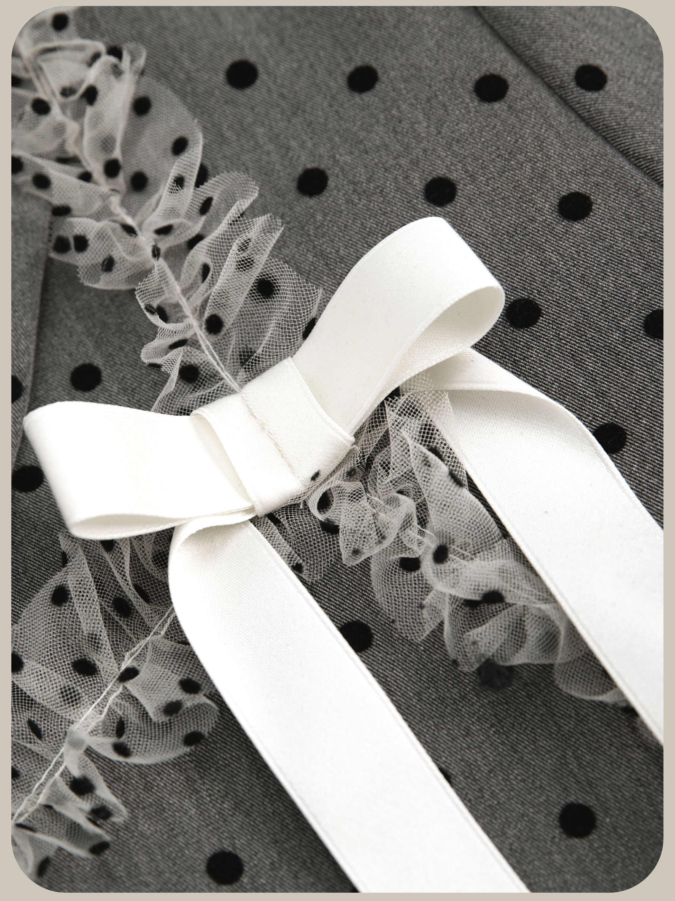 ・予約商品・Dots Lace Ribbon Jacketドットレースリボンジャケット