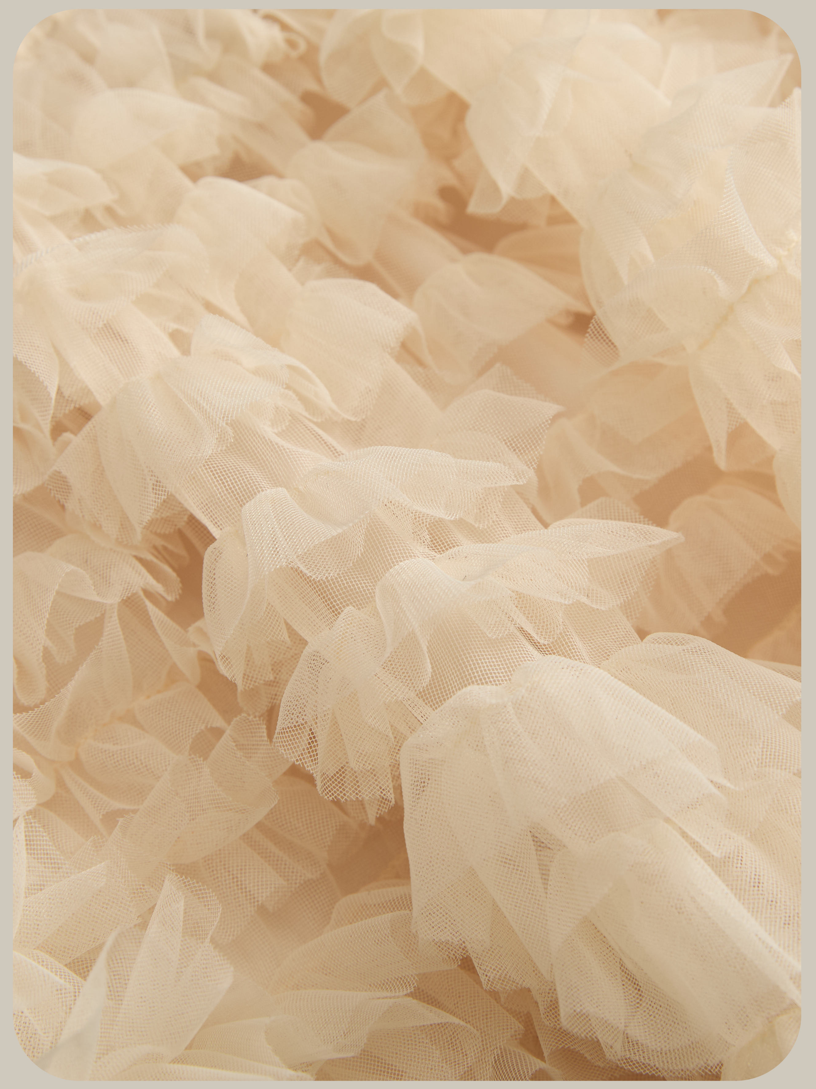 Layered Mesh Flare Mini Skirt/レイヤードメッシュフレアミニスカート