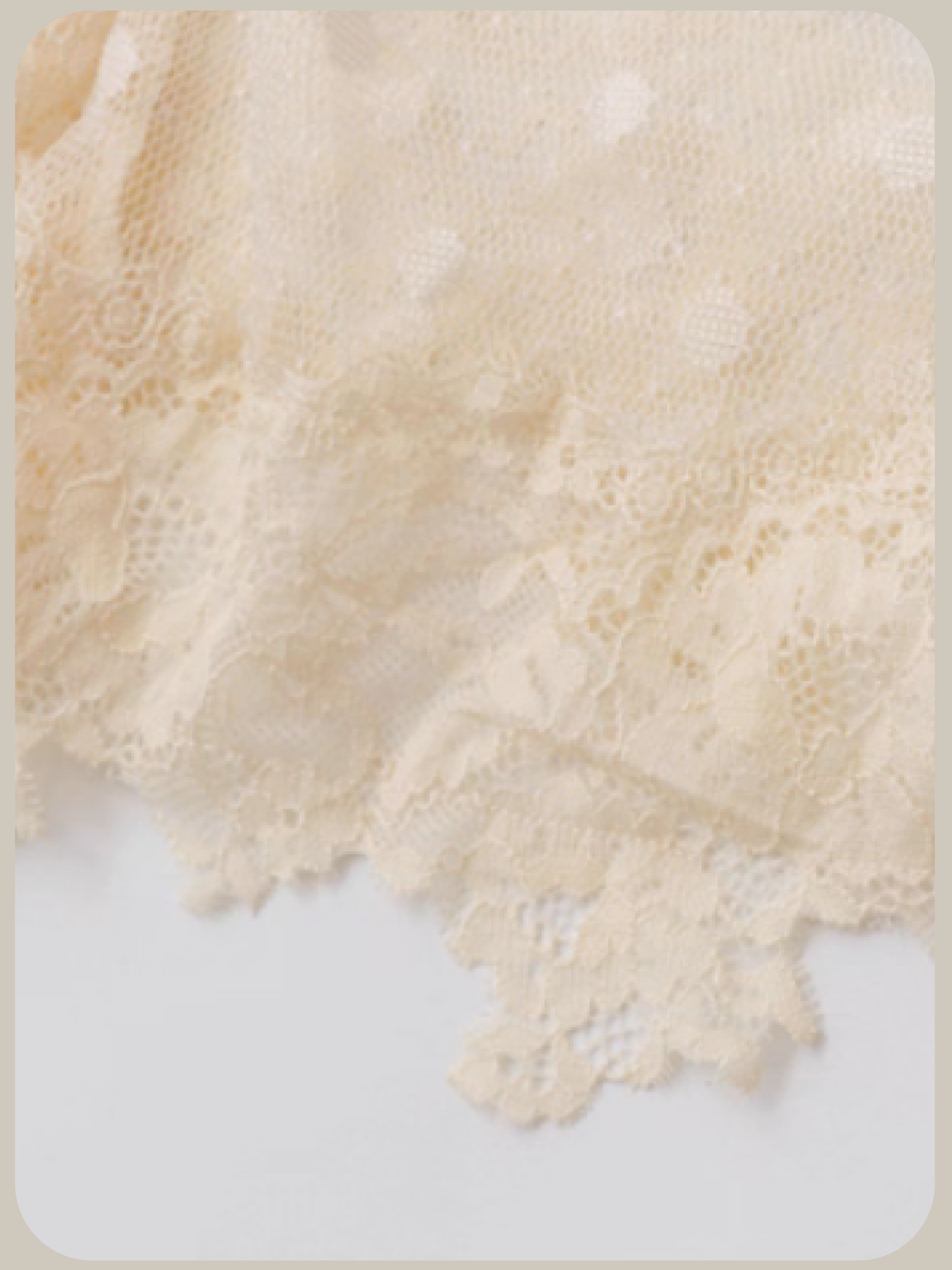 Elegant Lace Motif Top/エレガントレースモチーフトップス