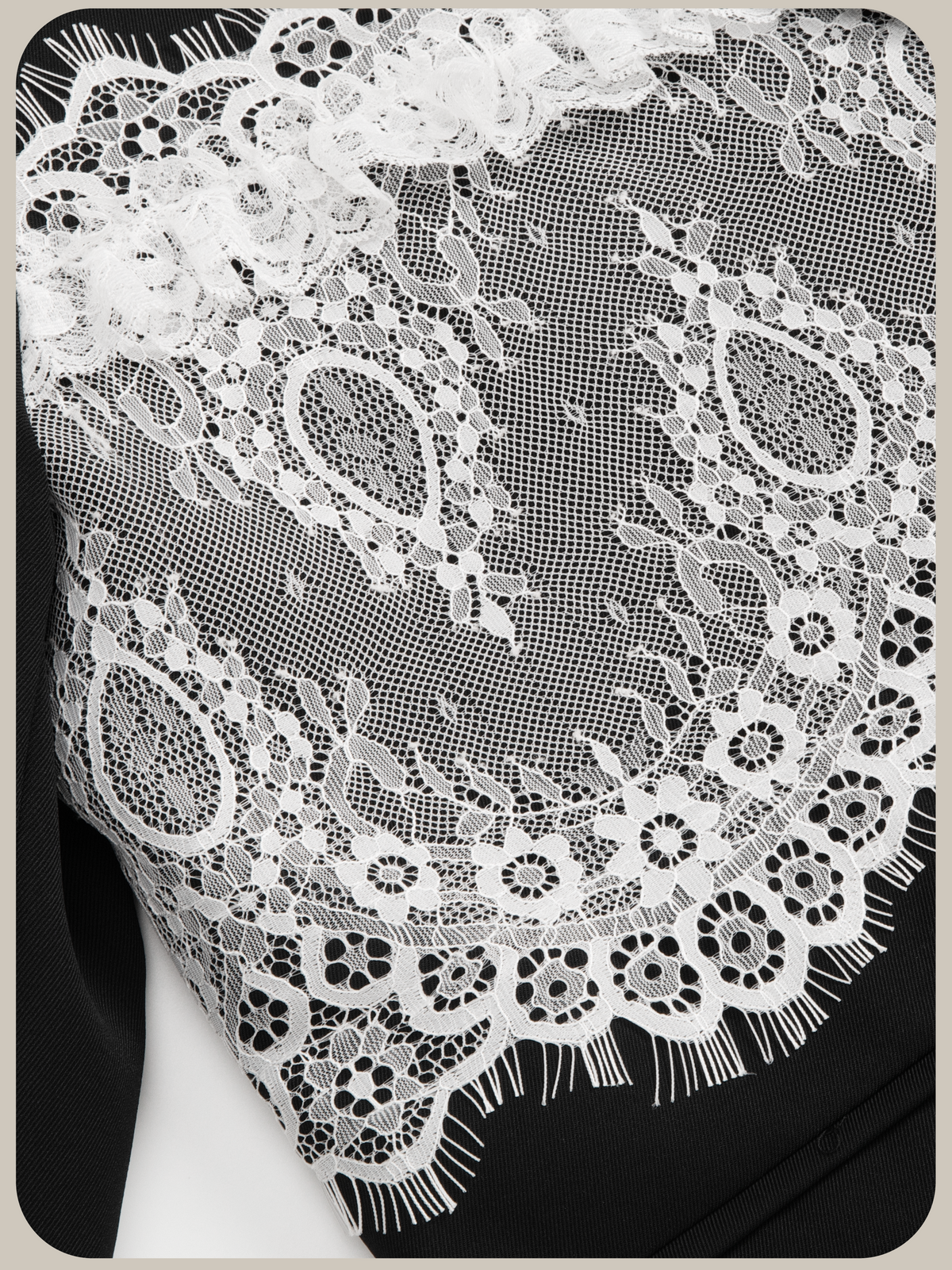 Elegant Detachable Lace Collar Jacket/エレガント取り外し可能レース襟ジャケット