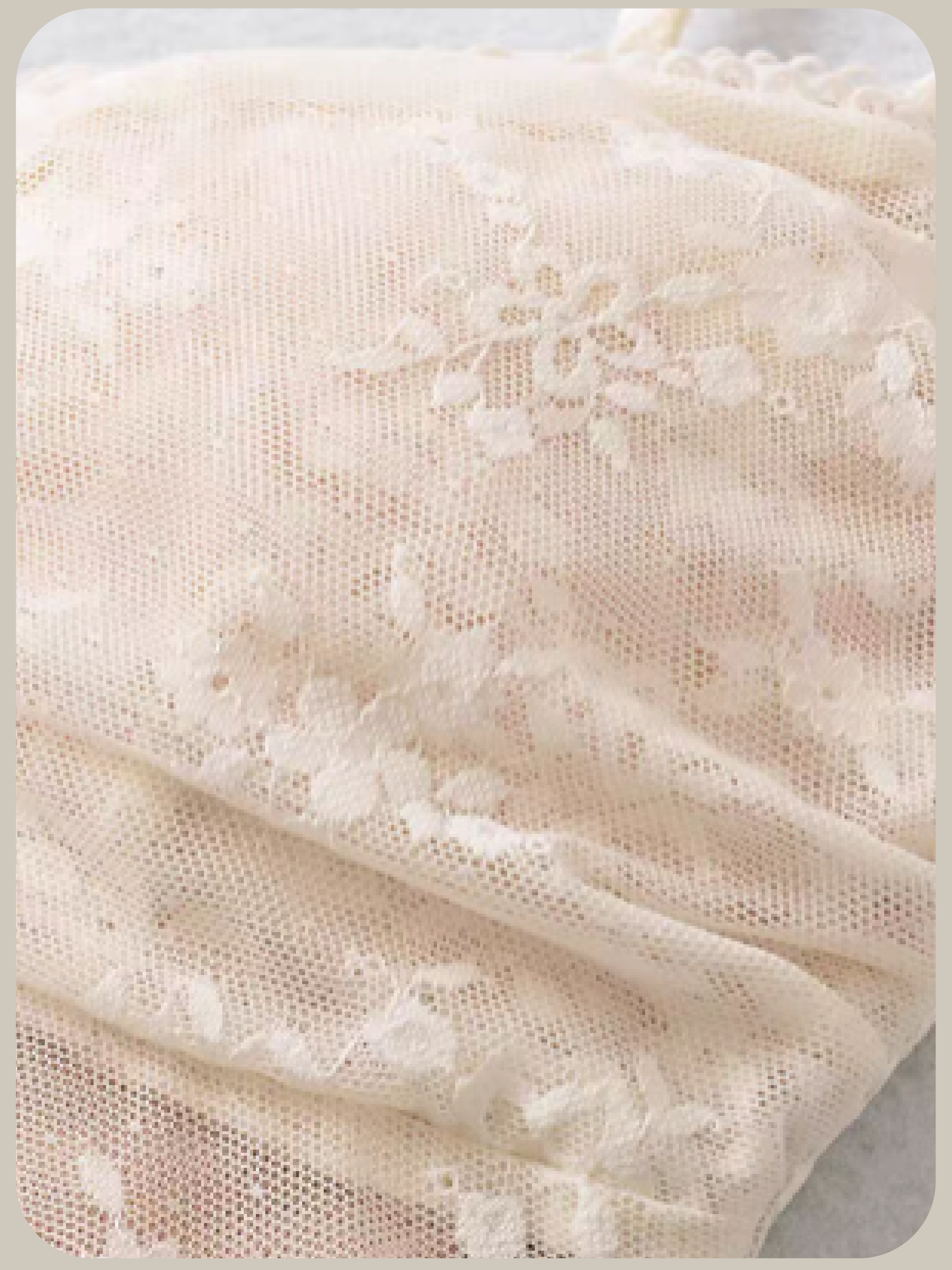 Romantic Lace Embroidery Padded Cami/ロマンチックレース刺繍入りパッド入りキャミソール