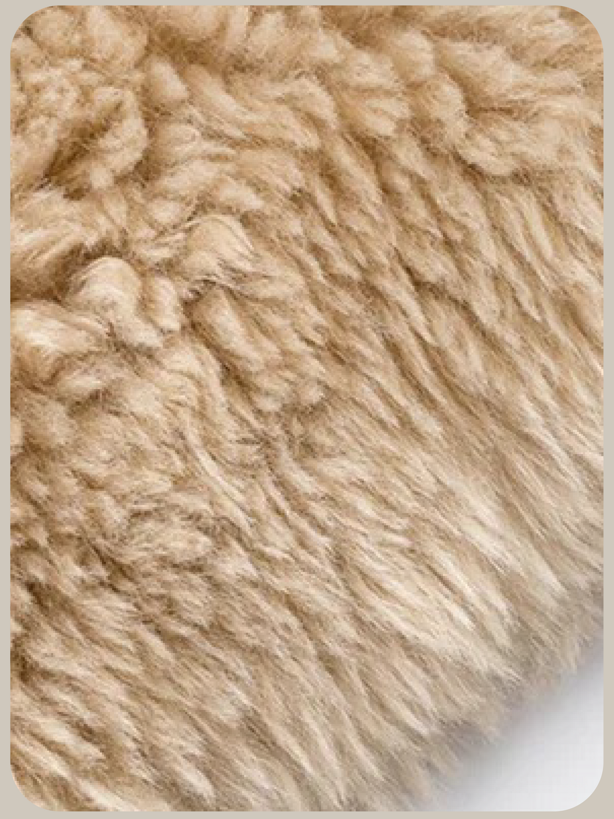 Round Collar Faux Shearling Boa Vest/ラウンドカラーフェイクシアリングボアベスト