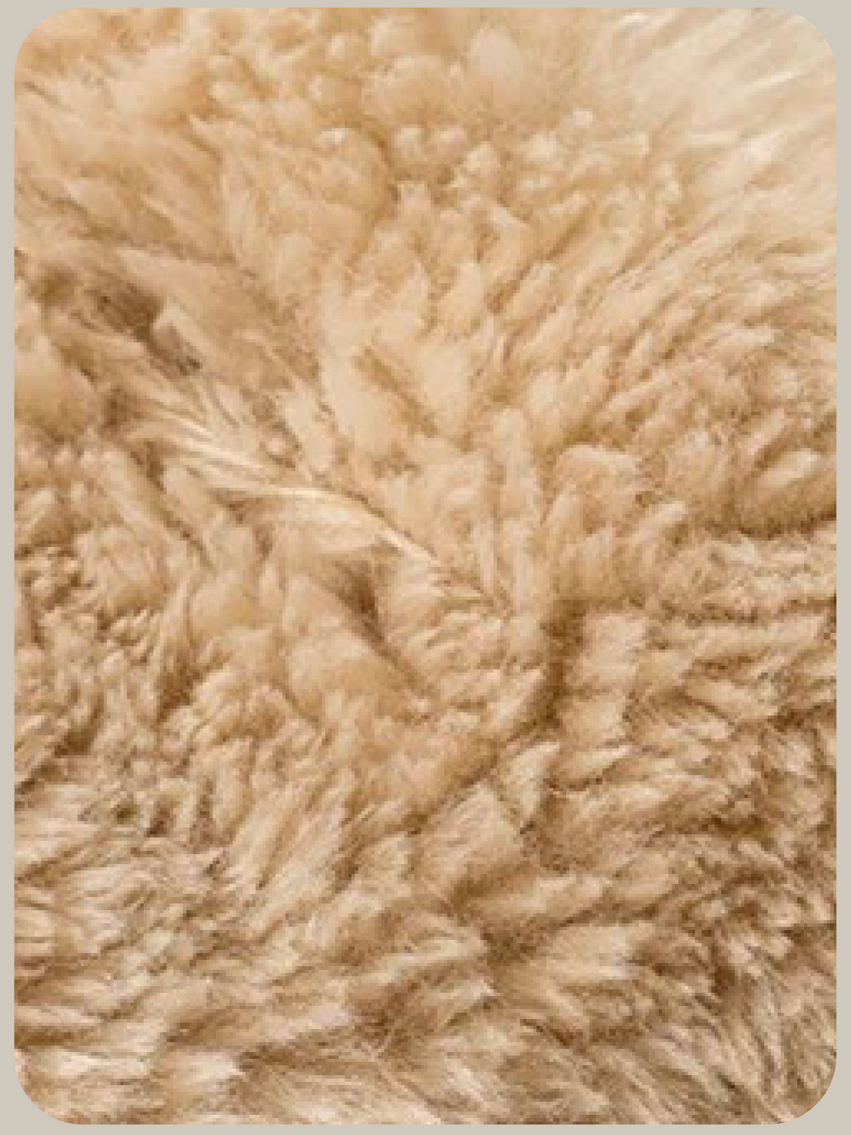 Collared Toggle Faux Fur Short Sleeve Vest/襟付きトグルフェイクファー半袖ベスト