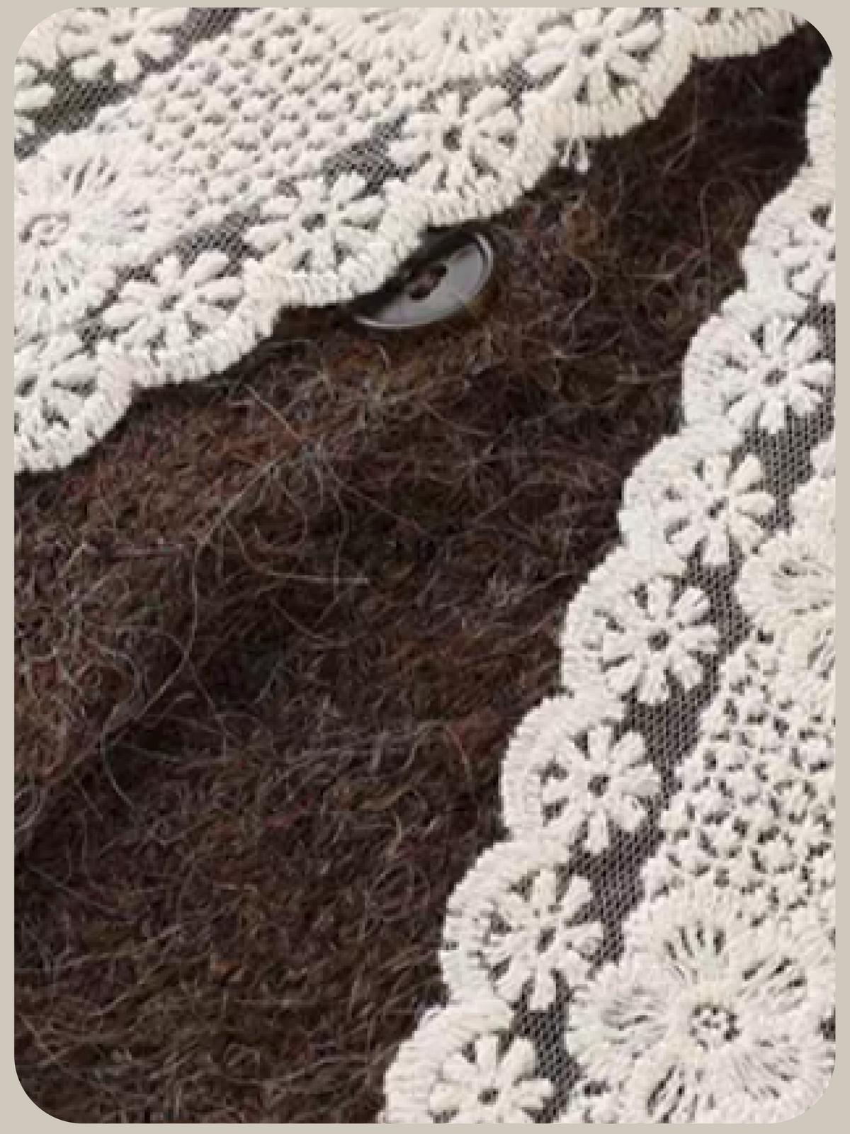 Lace Bow Peter Pan Collar Cardigan/レースリボンピーターパンカラーカーディガン