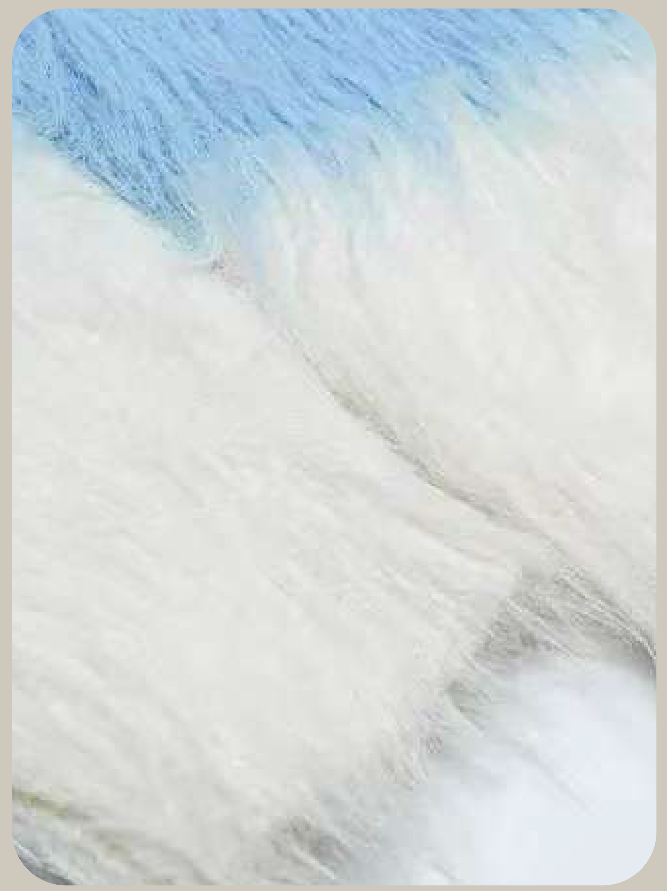 Mohair Two Tone Cardigan/モヘアツートンカーディガン