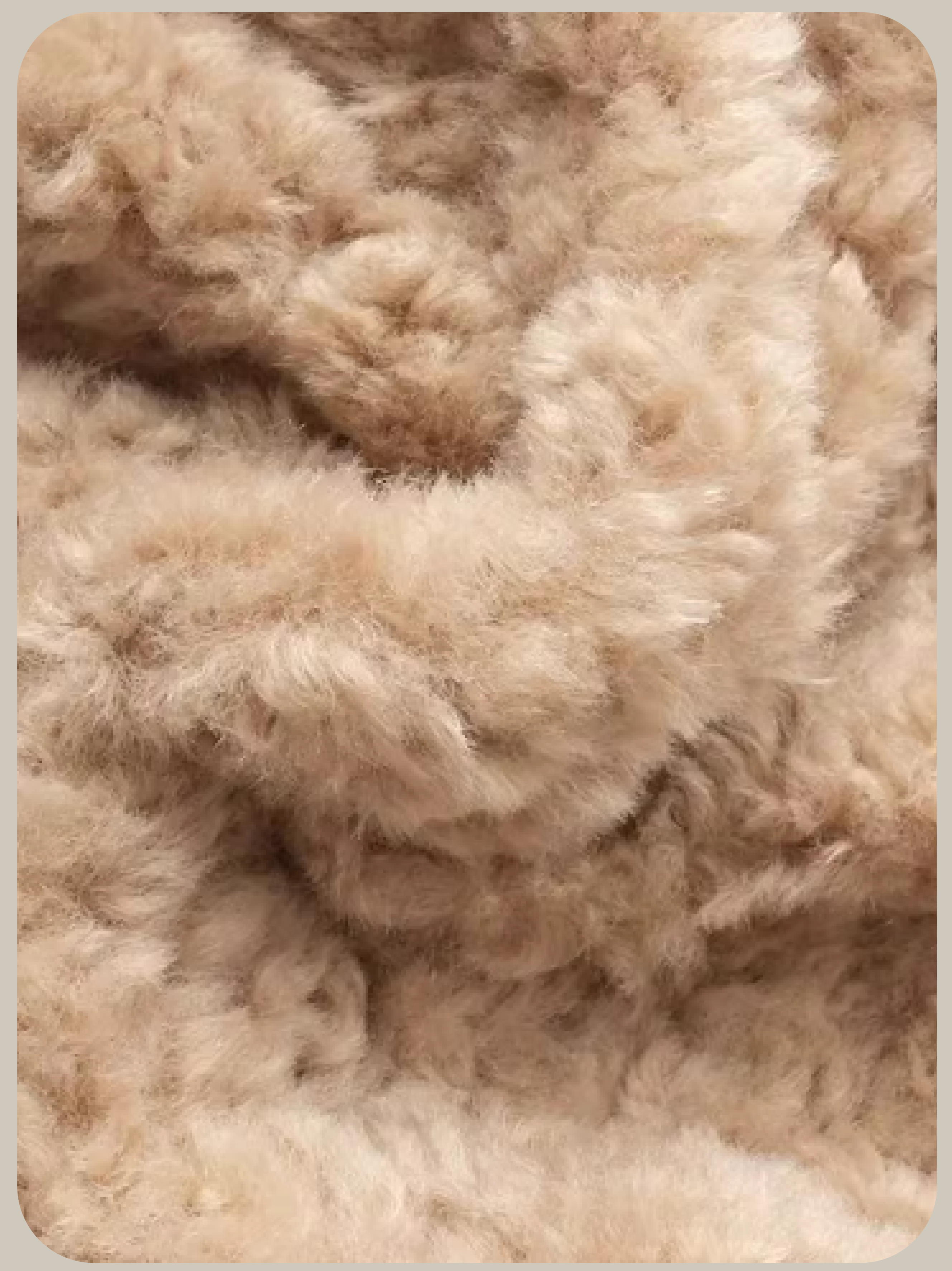 Cozy Stand Collar Down Jacket/スタンドカラーファージャケット