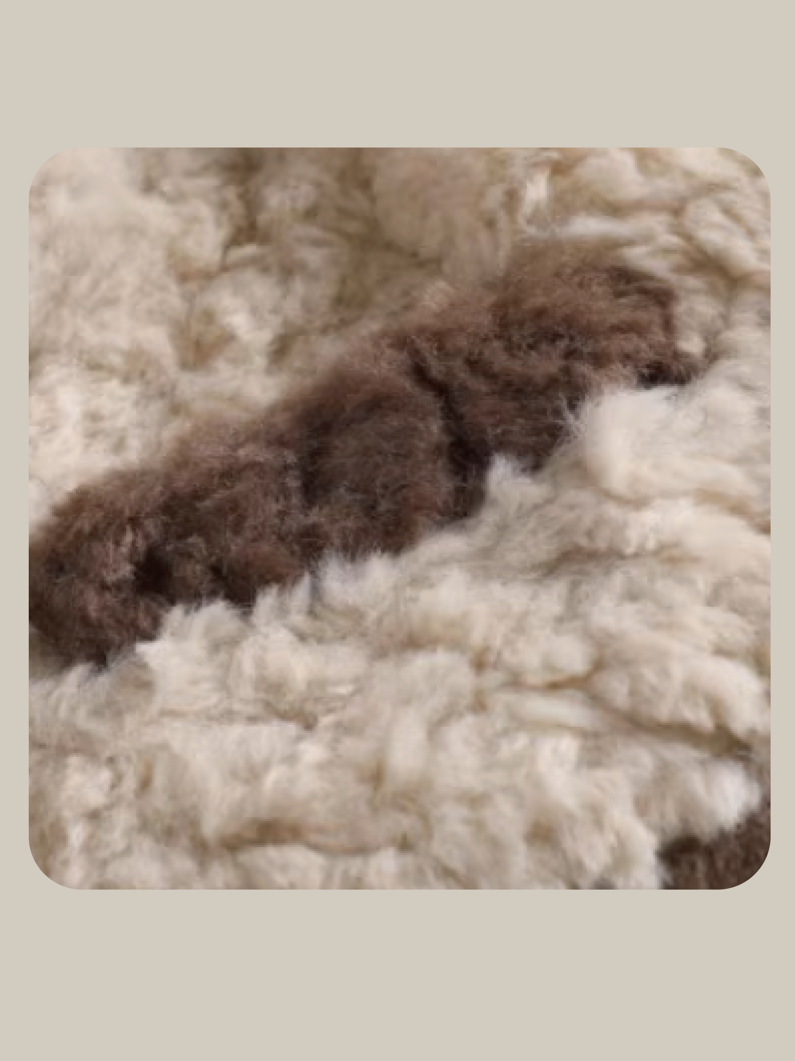 Vintage Color Faux Fur Coat ヴィンテージカラーフェイクファーコート