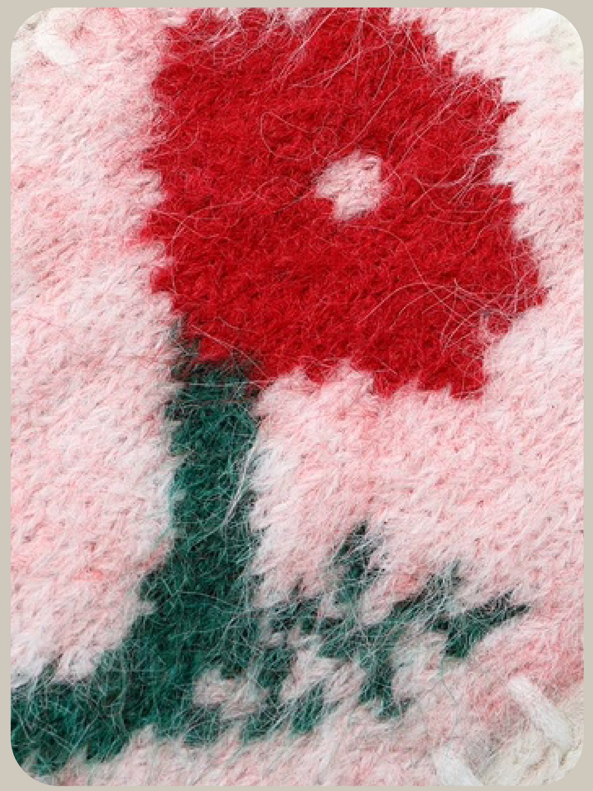 Garden Floral Jacquard Fuzzy Cardigan/ガーデンフローラルジャカードファジーカーディガン