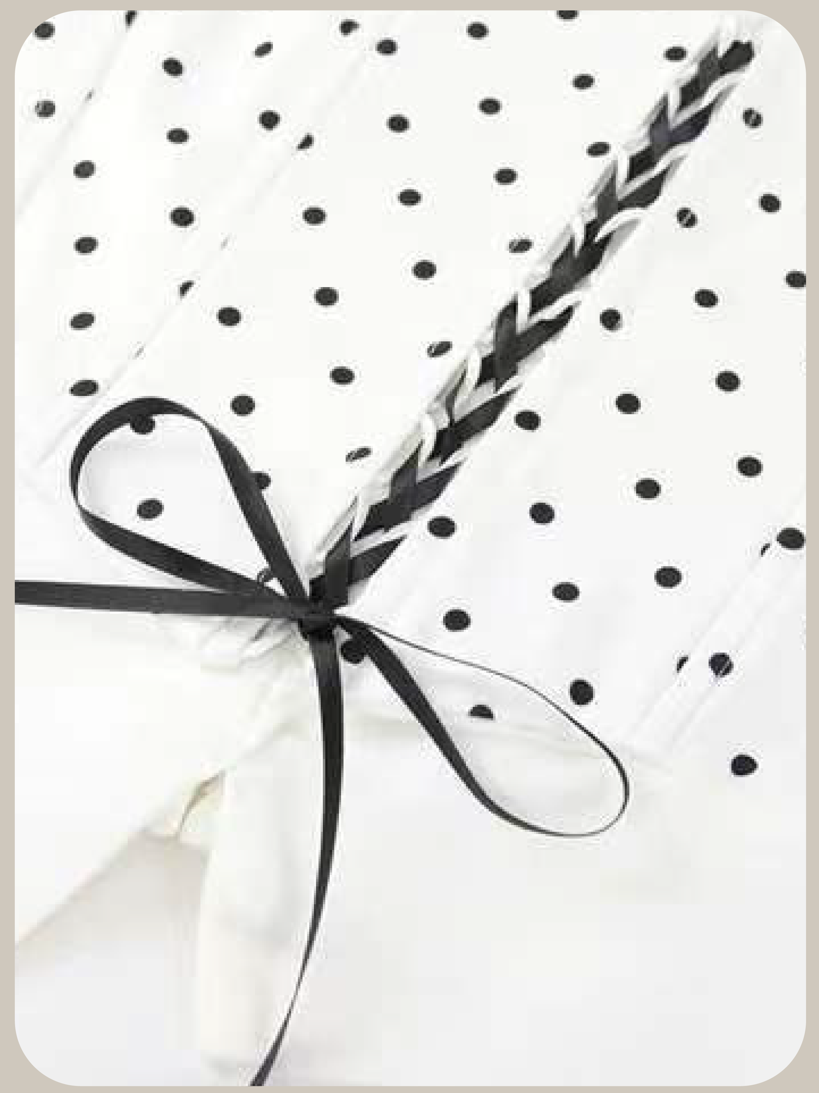 Ivory Polka Lace Up Flare Skirt Set Up/アイボリードット柄レースアップフレアスカートセット